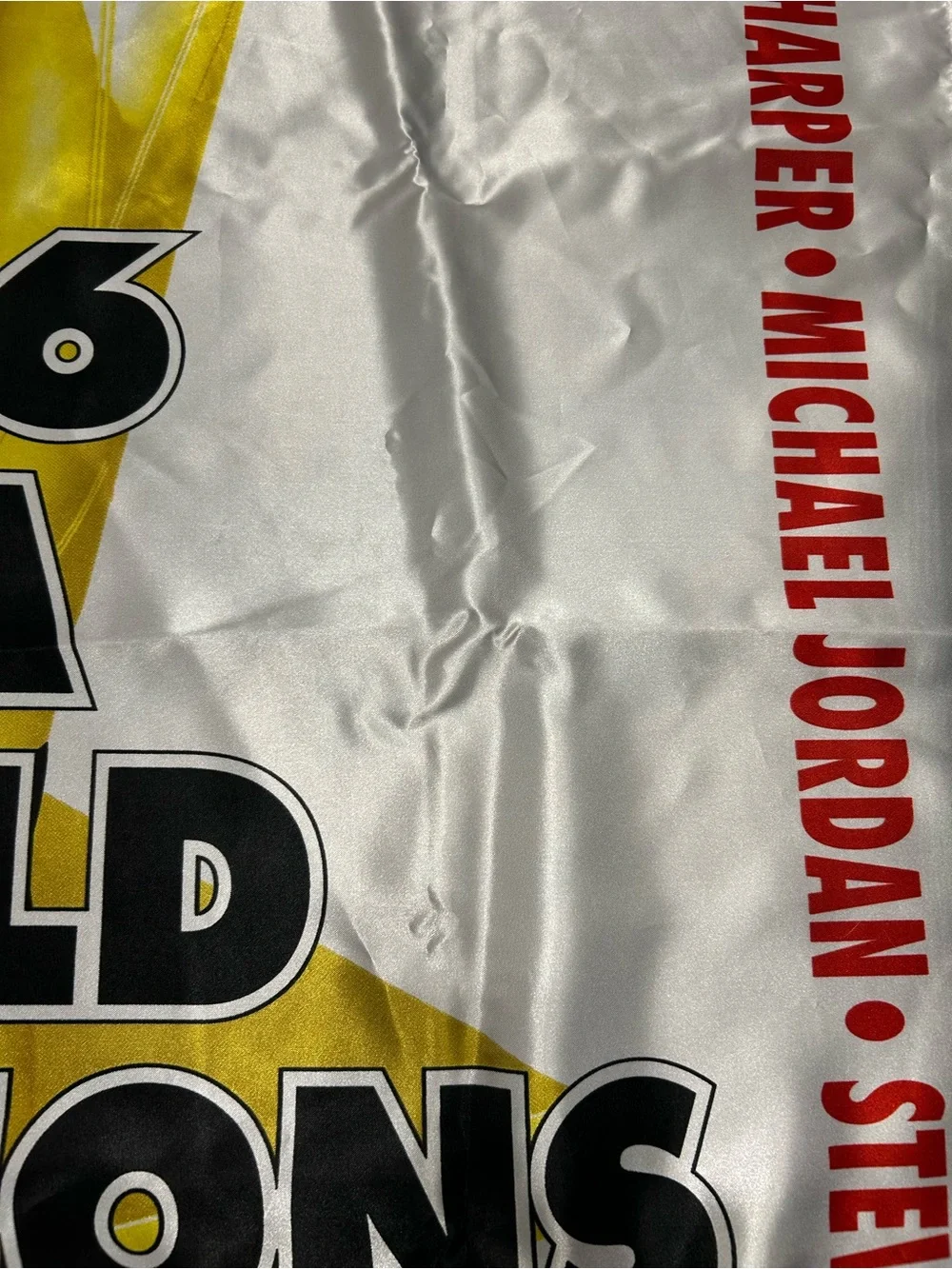 Vintage Chicago Bulls 1996 NBA World Champions Banner 5x3 feet Jordan